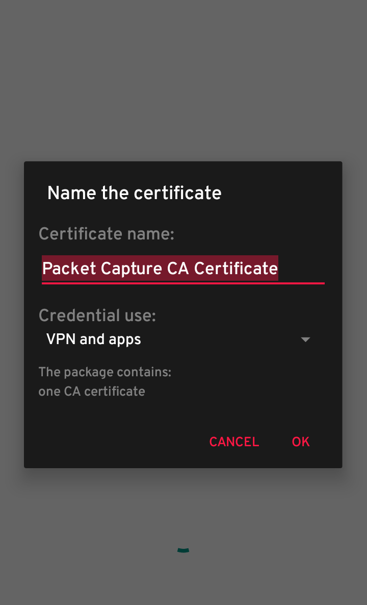 Packet Captureのスクリーンショット4（通信ログ閲覧）