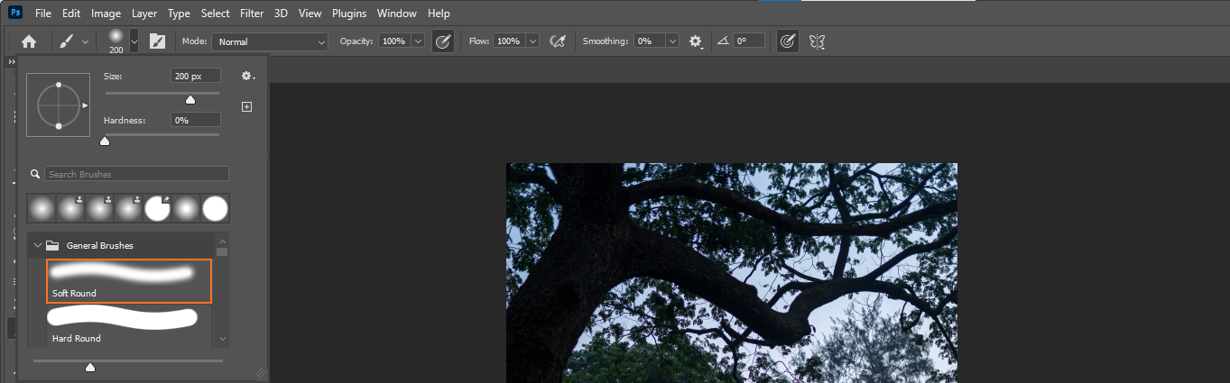 мягкие и жёсткие кисти