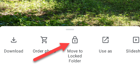Затем выберите «Move to Locked Folder».