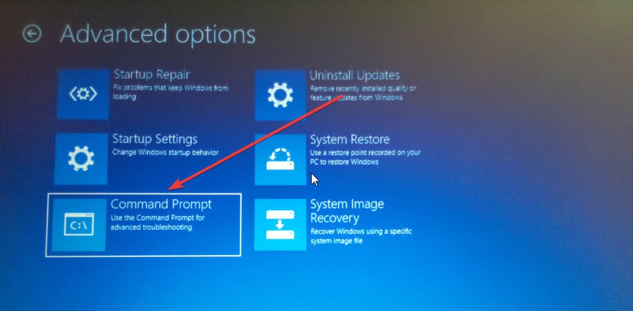 Выбор Command Prompt в ADV options