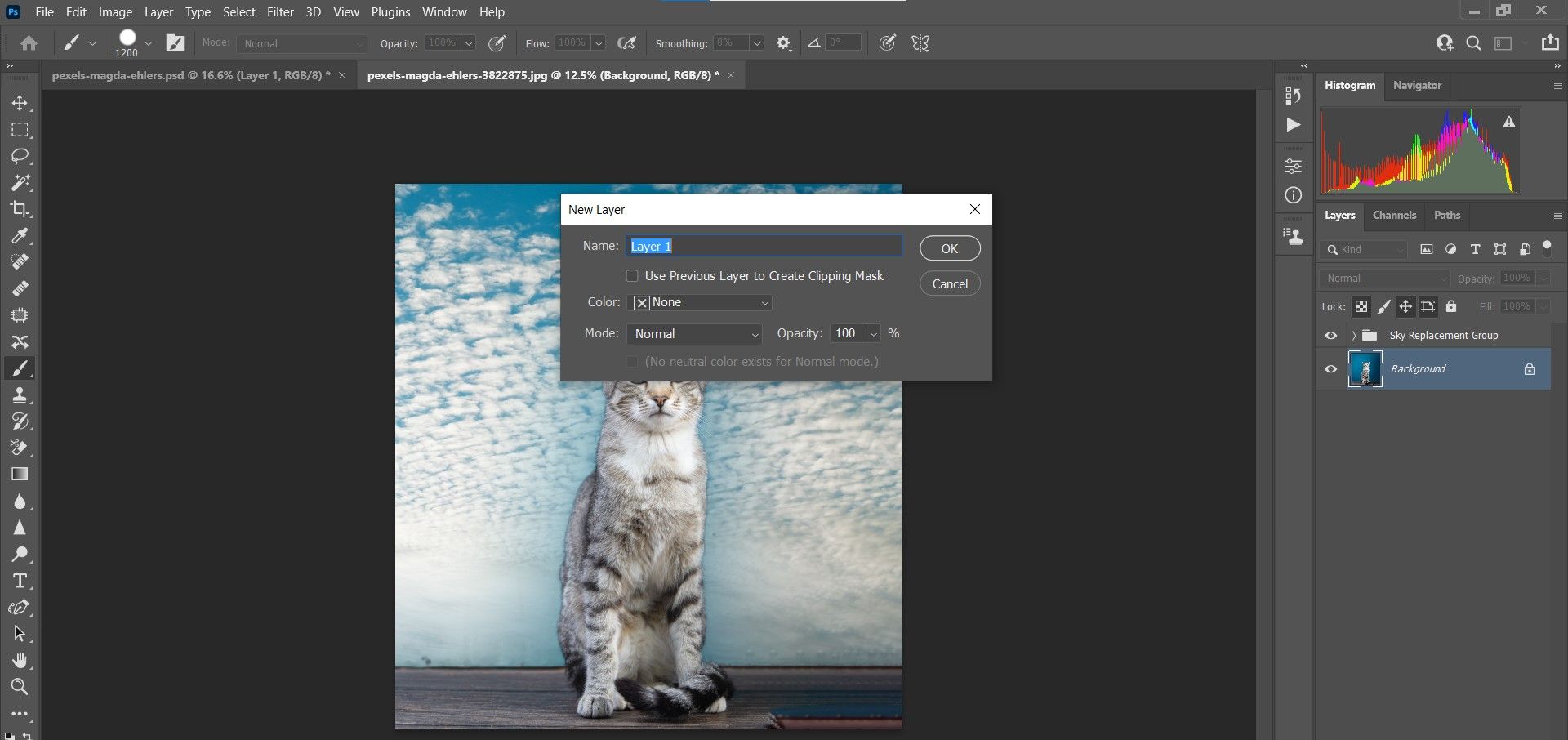 Создать новый пустой слой