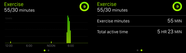 Подробная статистика по Упражнениям в приложении Активность