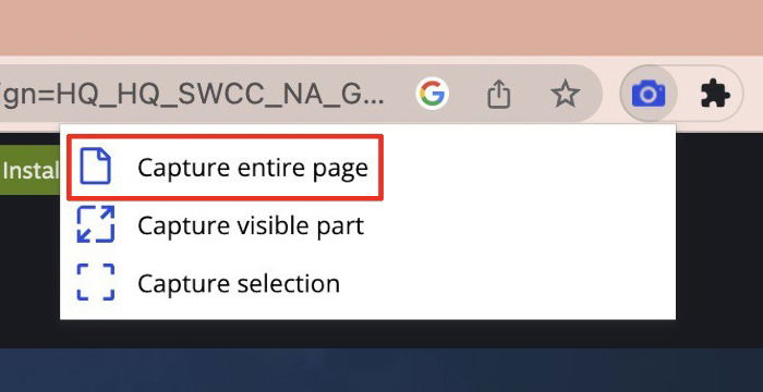 Выбор Capture entire page в Movavi