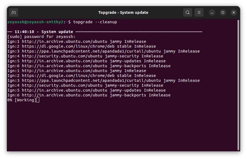 Команда topgrade --cleanup в терминале