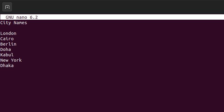 Файл и его содержимое отображаются в терминале