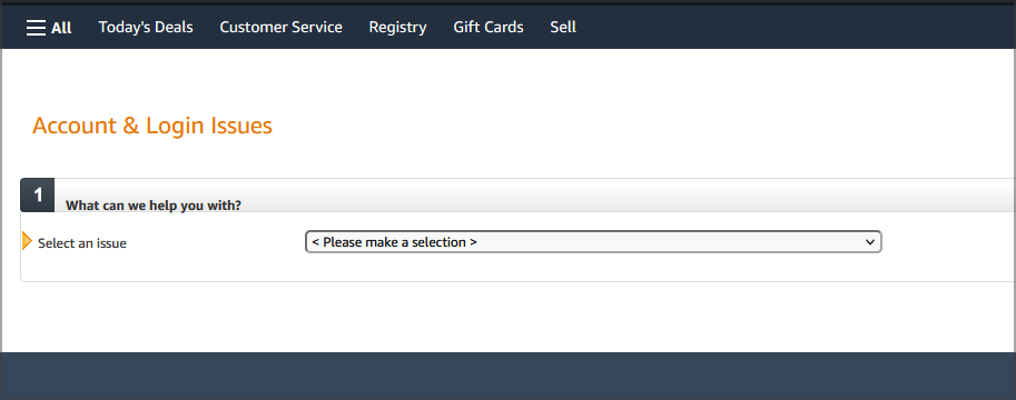 Пример формы обращения в поддержку Amazon