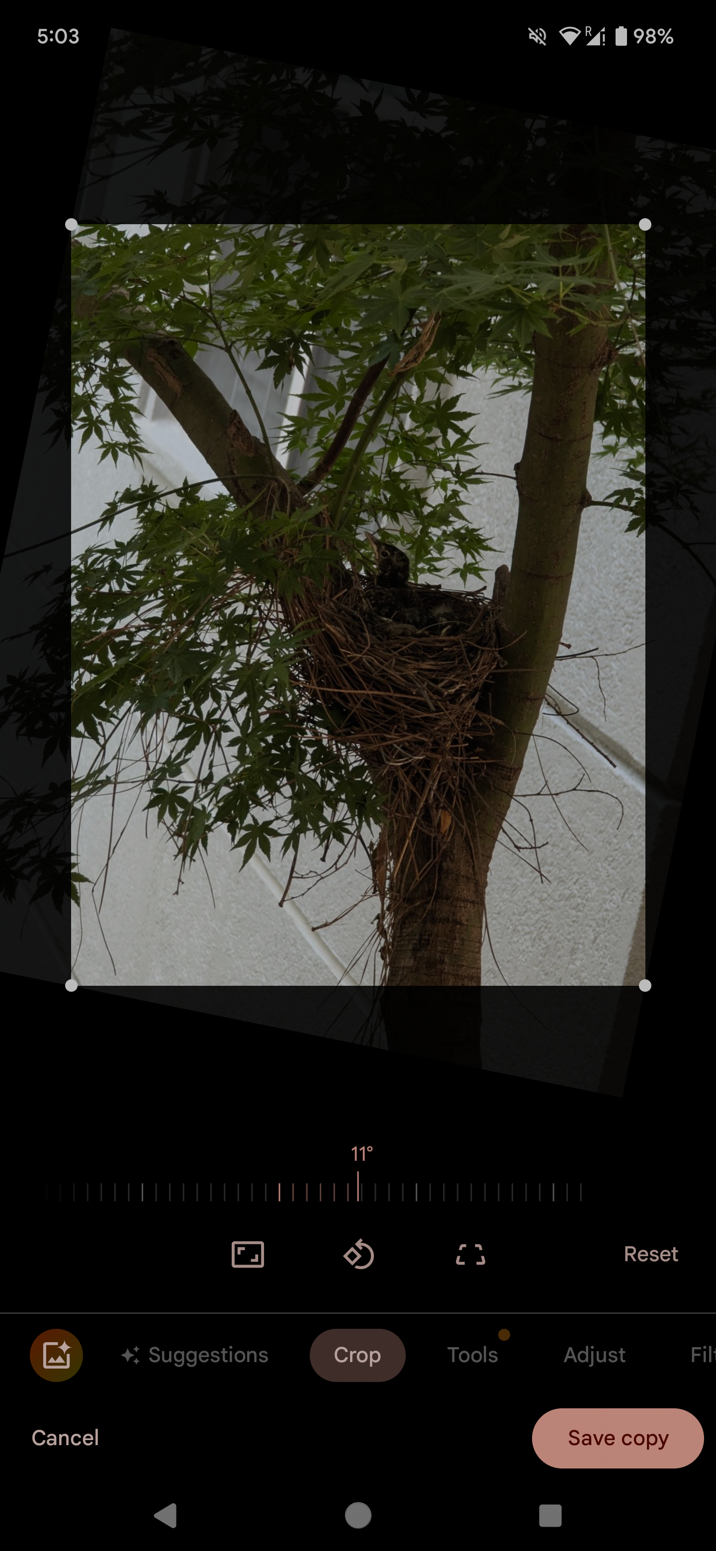 Перетащите ползунок для точного поворота изображения.