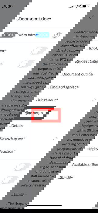 Параметры страницы в iOS