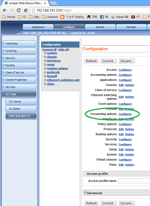 Экран Forwarding options в WebGUI