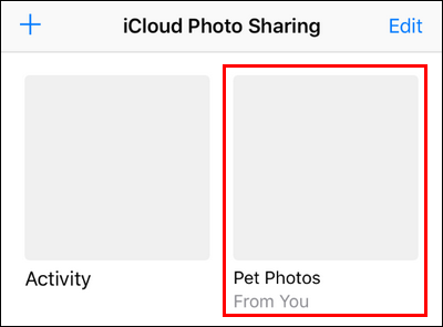 Список общих альбомов: выбор только что созданного альбома