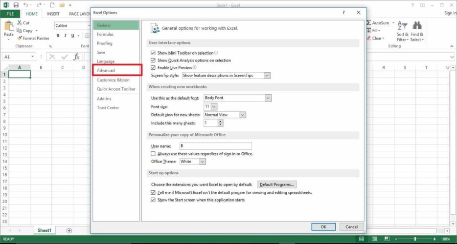 Excel advanced options