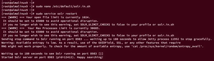 Schermata configurazione Solr