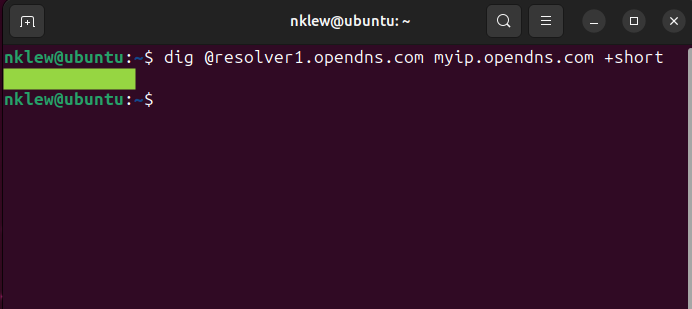 Результат dig для получения публичного IP