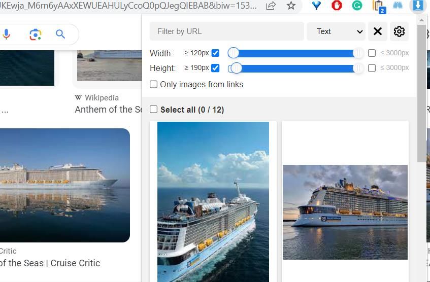 Опции фильтрации в Image Downloader