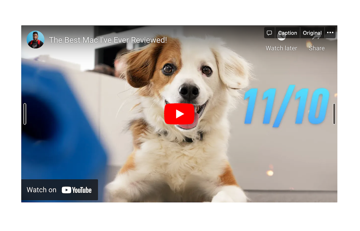 Встроенное видео YouTube с собакой в Notion