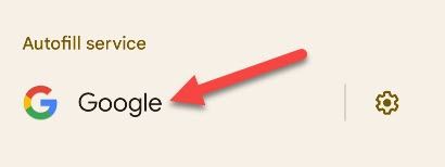 Выбор сервиса автозаполнения в списке доступных служб.