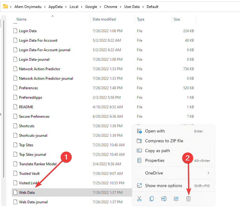 Папка профиля с файлом Web Data