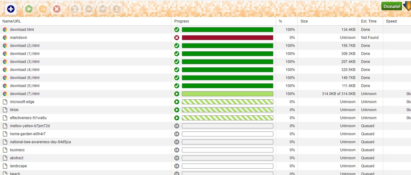 Список очереди загрузок в менеджере DownThemAll! с кнопками управления