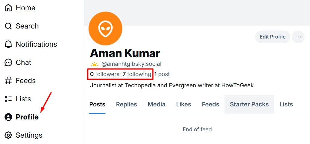 Разделы Following и Followers на странице профиля пользователя в Bluesky.