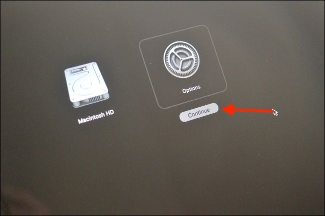 Select Options and Click Continue