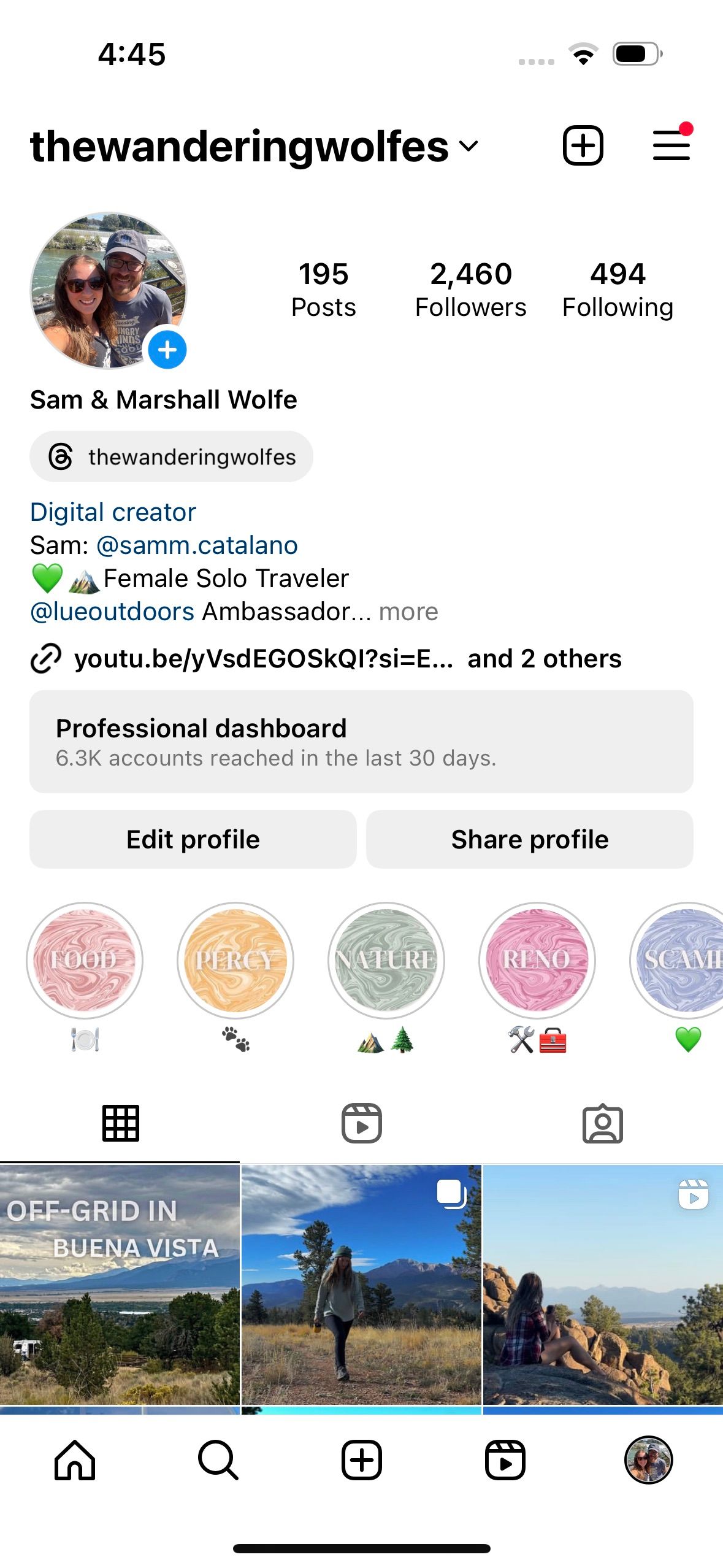 Пример профиля «The Wandering Wolfes»