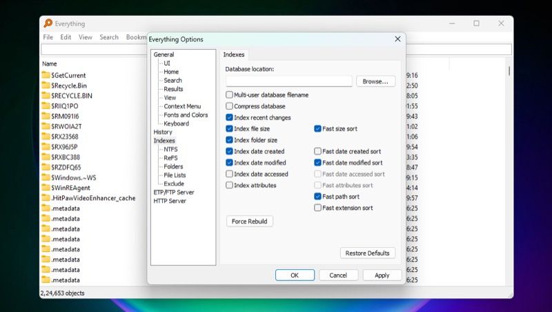 Настройки Everything — раздел Параметры