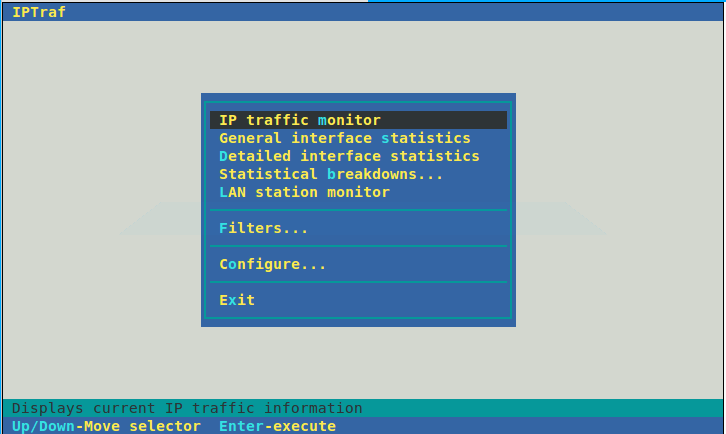 Интерфейс iptraf в терминале с таблицами подключений и статистикой