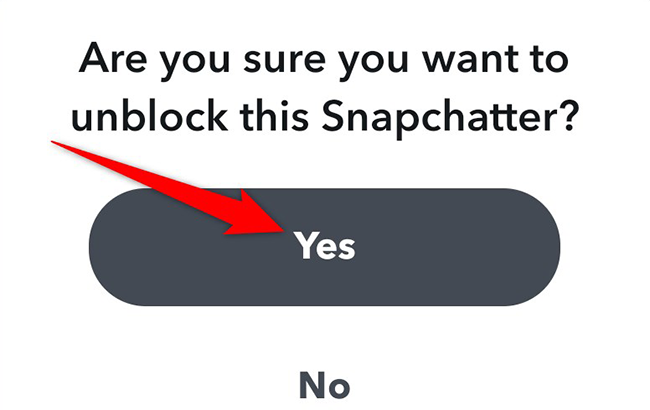 Нажмите «Да» в запросе на разблокировку в Snapchat.