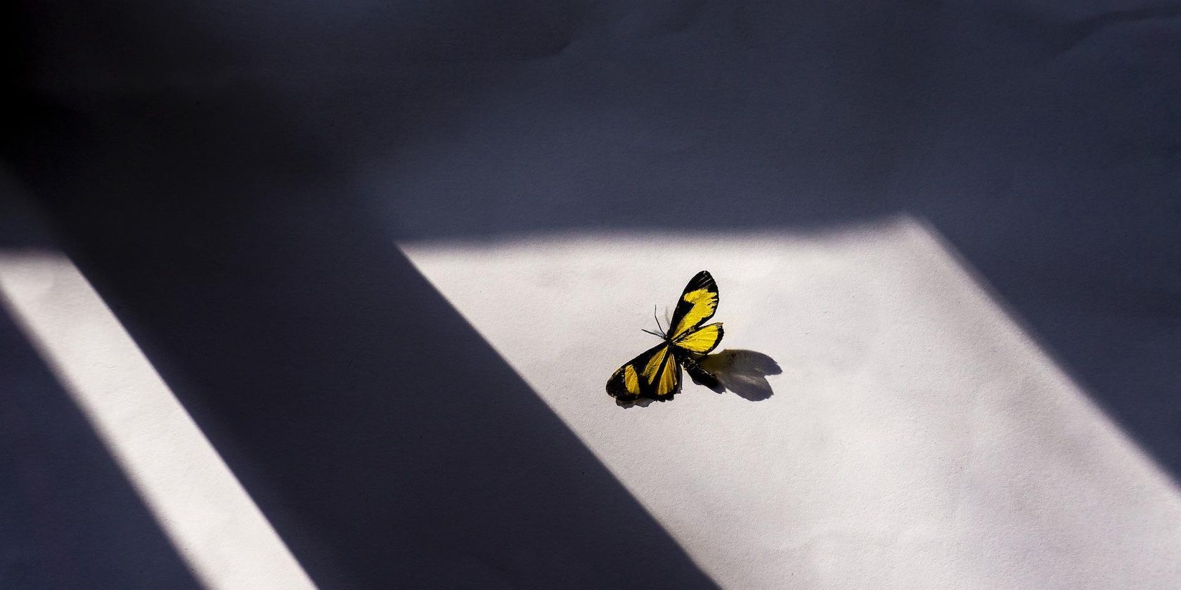 Фотография теней: как снимать драматичные кадры