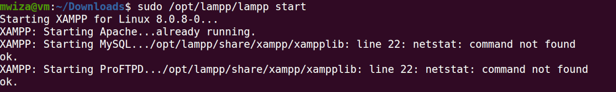 Вывод запуска XAMPP в терминале