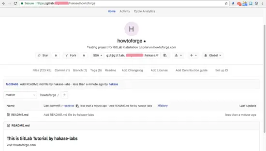 Репозиторий успешно обновлён через браузер