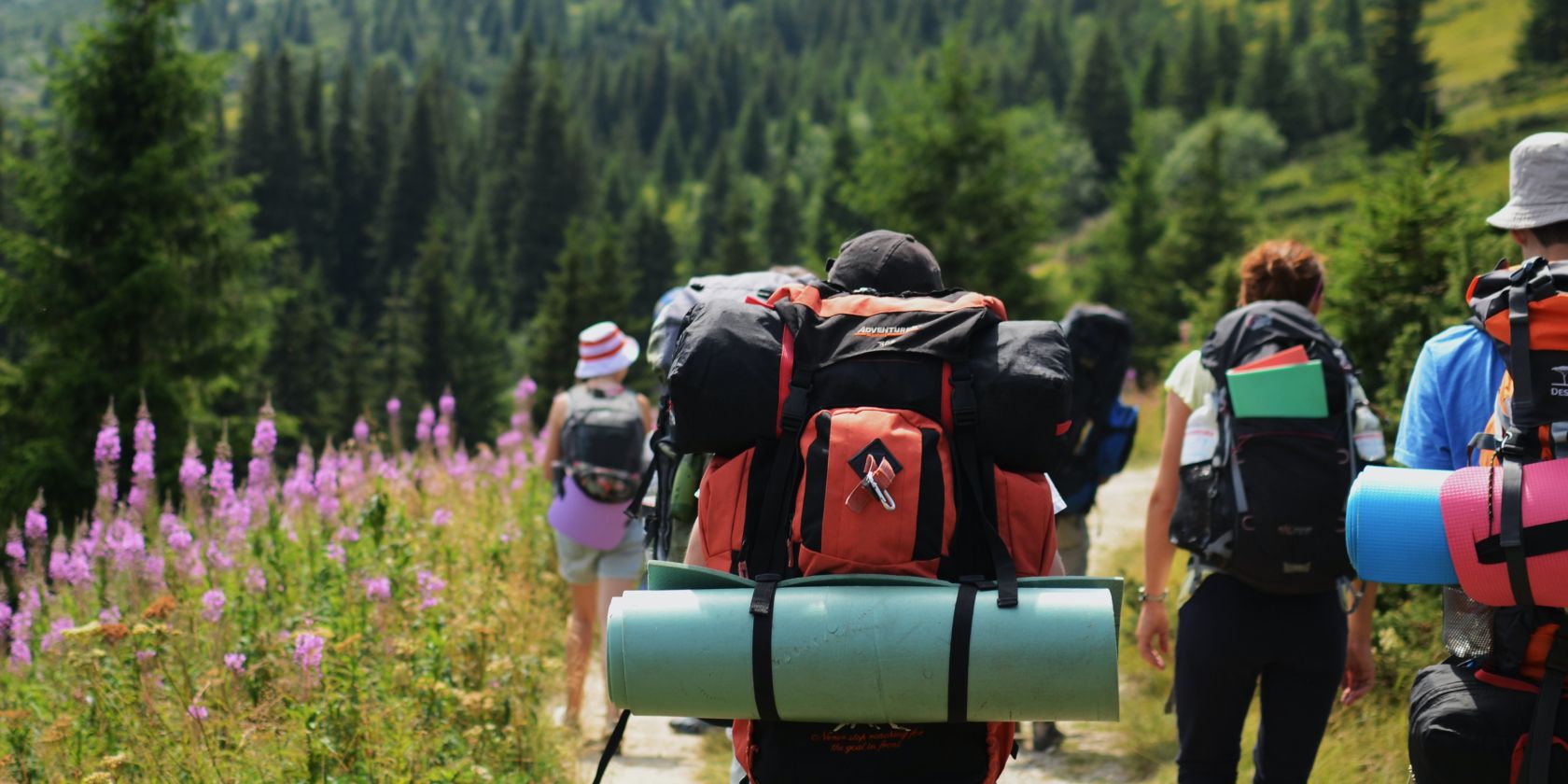группа людей идёт пешком по тропе