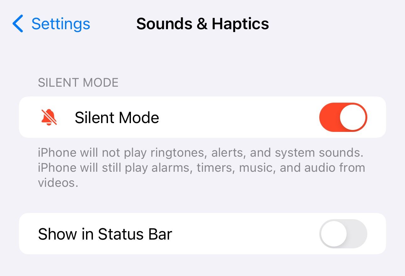 Отключение опции «Показывать в строке состояния» в настройках iPhone.