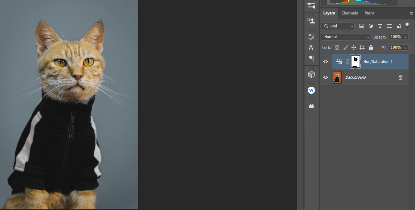 Закрасьте, чтобы вернуть цвета в выделении кота