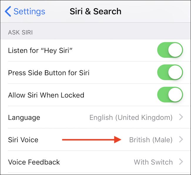 Меню выбора голоса Siri в настройках