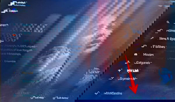 Экран «Справка» в приложении Netflix на телевизоре