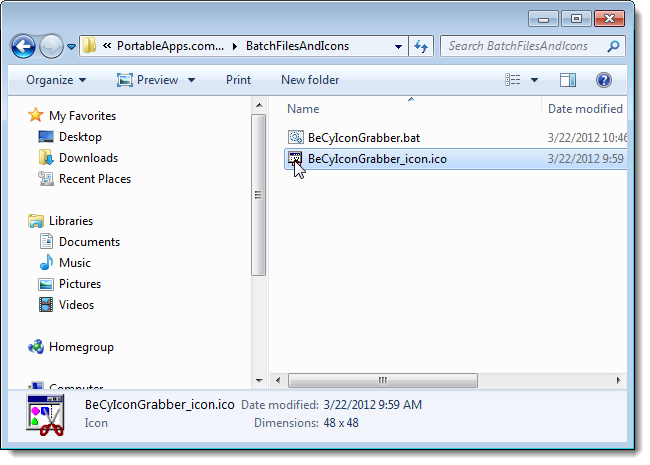 04_extracted_icon_file