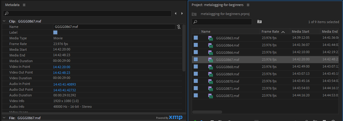 Панель метаданных в Premiere Pro