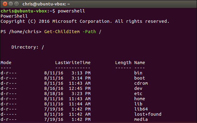 Окно PowerShell на macOS или Linux