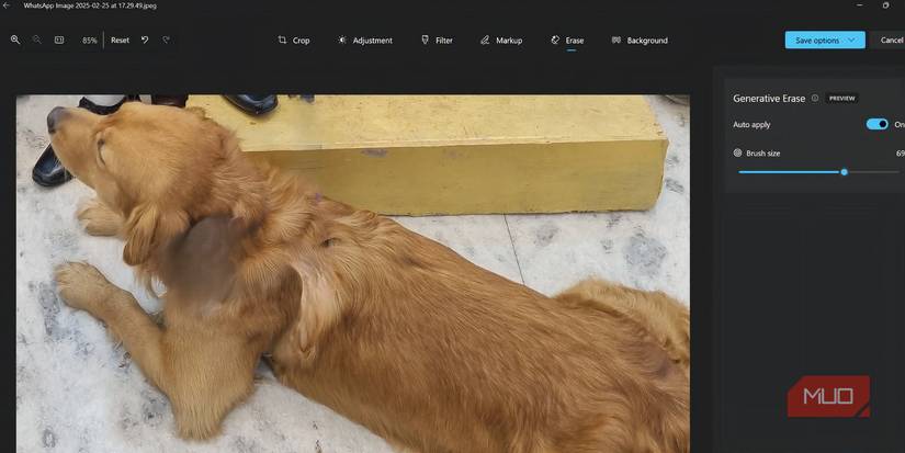 Результаты удаления предметов с фото собаки