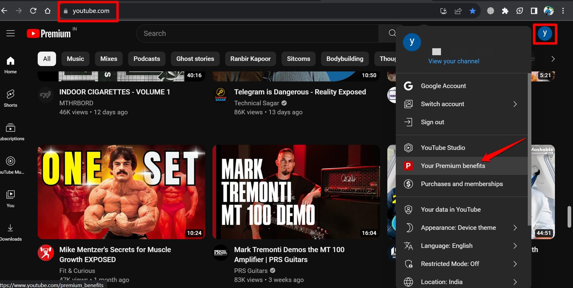 premium benefits YouTube web