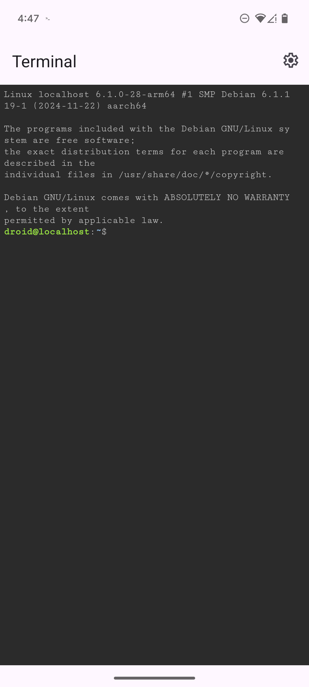 Пустой bash‑приглашение в приложении Linux Terminal на Google Pixel 6.