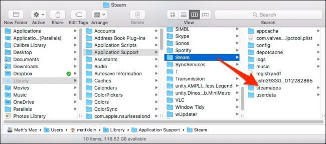 Пример структуры папки SteamApps перед переносом