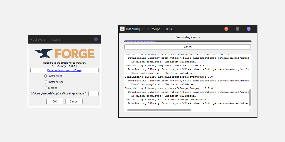 Скриншоты процесса установки Forge