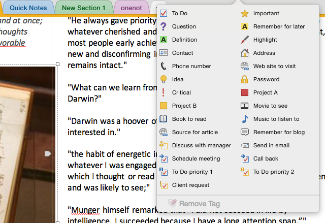 теги OneNote для сортировки заметок