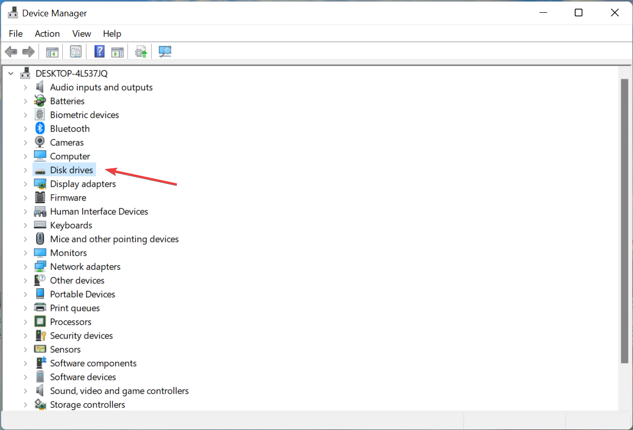Список дисков в Диспетчере устройств