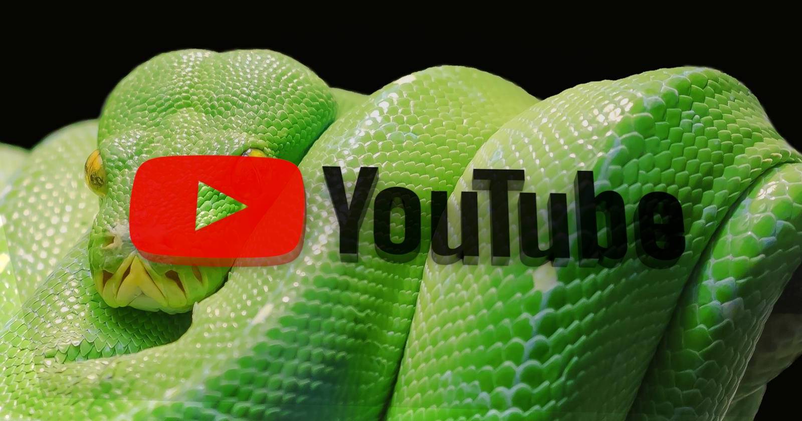 Скачивание видео YouTube с помощью Python