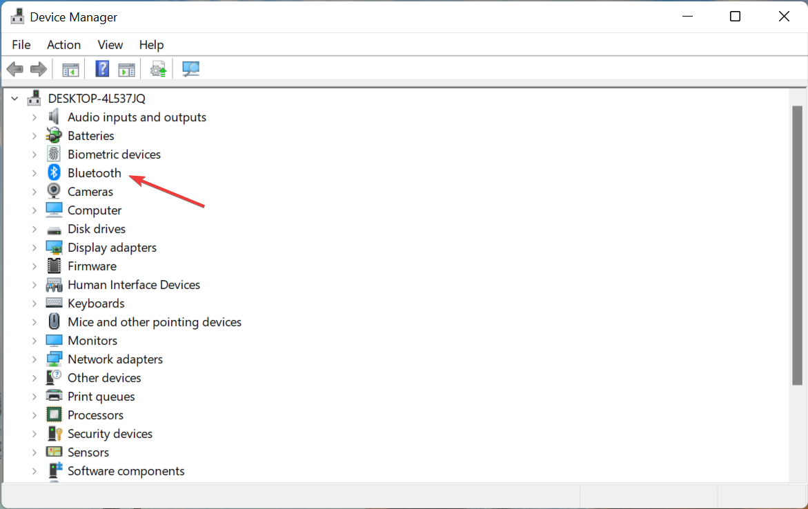 Раздел Bluetooth в Диспетчере устройств