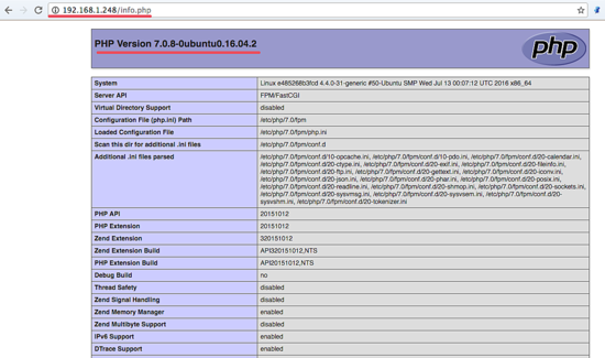Вывод phpinfo() через Nginx и PHP‑FPM в контейнере