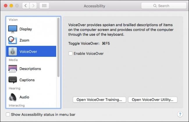 Параметры VoiceOver в Системных настройках